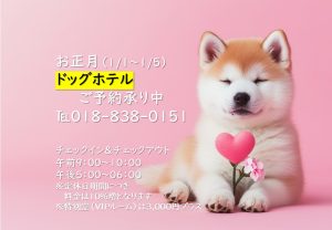 いよいよ師走！クリスマスやお正月などイベント盛りだくさんですね✨トリミングで素敵な年末年始を過ごしませんか☆年末は31日正午まで、年始は1月6日（月）から通常営業♪ドッグホテルは1日～5日もご利用いただけます。ご予約はお電話📞018-838-0151またはネット（24時間対応）にて承ります。